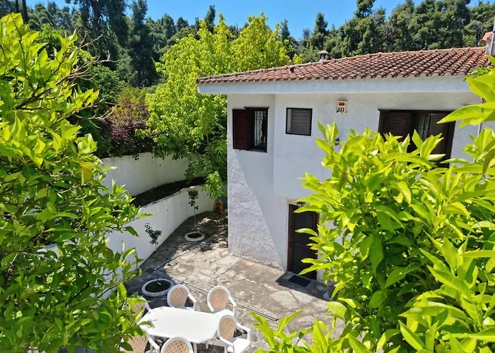 Beachfront Villa 100M From Sea For Up To 10 Guests