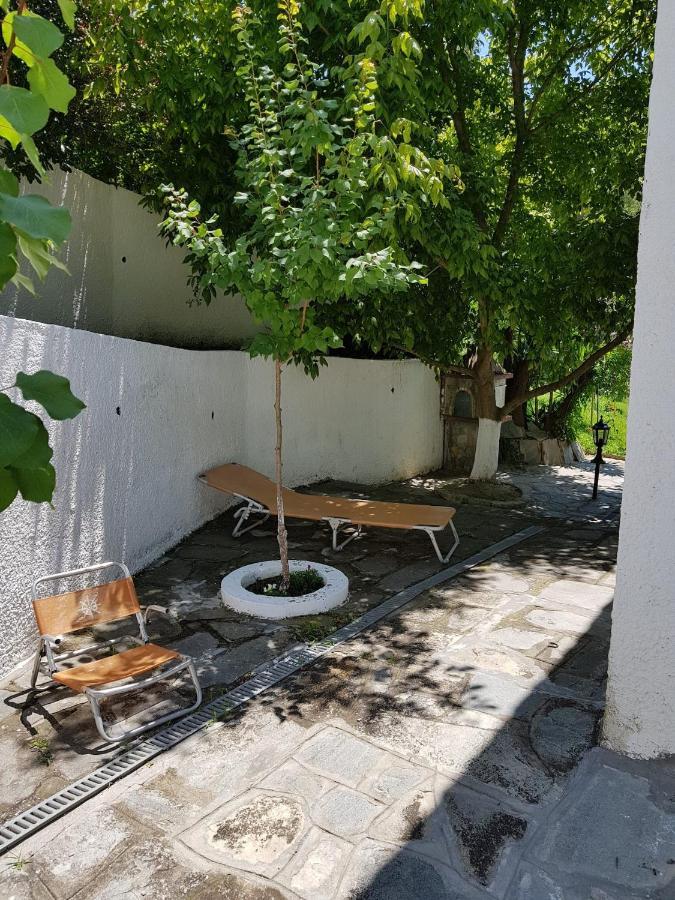 Villa Beachfront 100m From Sea For Up To 10 Guests Siviri