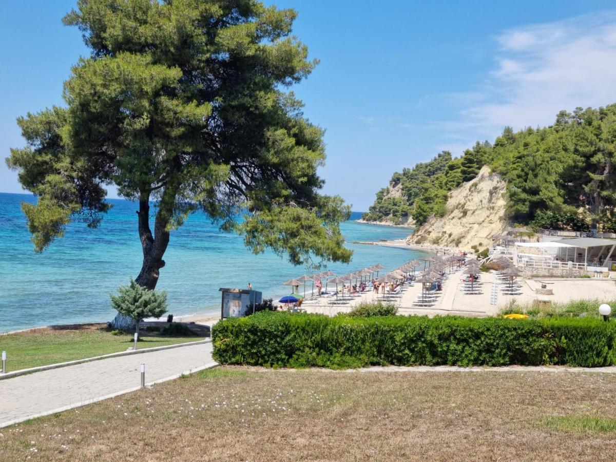 Villa Beachfront 100m From Sea For Up To 10 Guests *