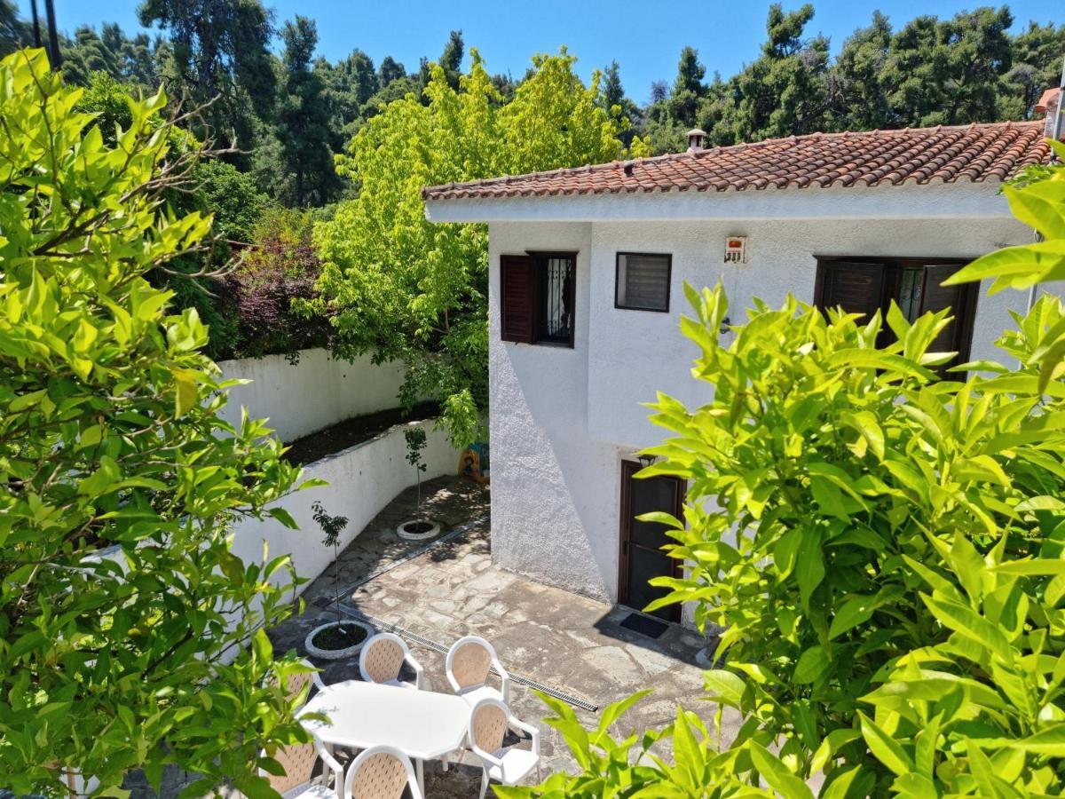 Villa Beachfront 100m From Sea For Up To 10 Guests Siviri