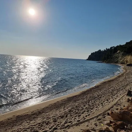Beachfront Villa 100M From Sea For Up To 10 Guests Siviri Exterior photo