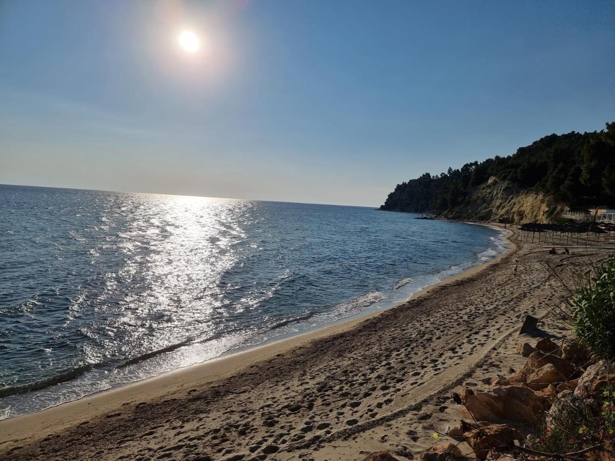 Beachfront 100m From Sea For Up To 10 Guests Villa Siviri
